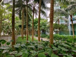 Botannia (D5), Condominium #547240831